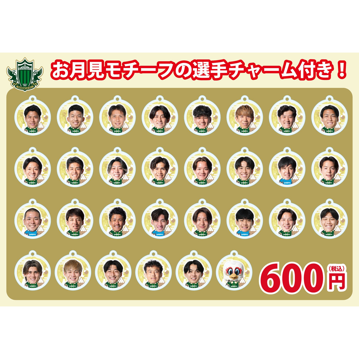 2627マッチデーボンフィン(AWAY栃木SC)