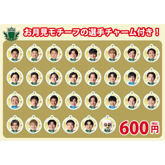 2627マッチデーボンフィン(AWAY栃木SC)