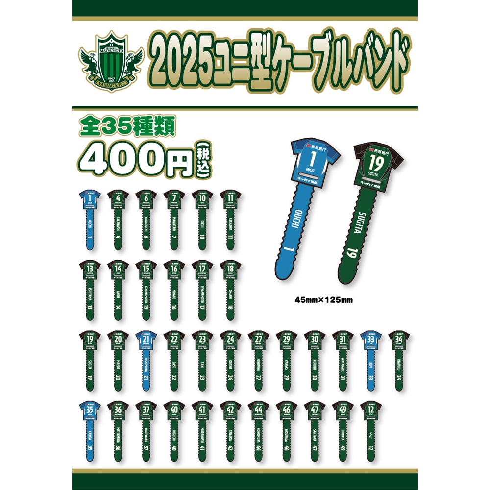 2025ユニ型ケーブルバンド(山ガチャ)