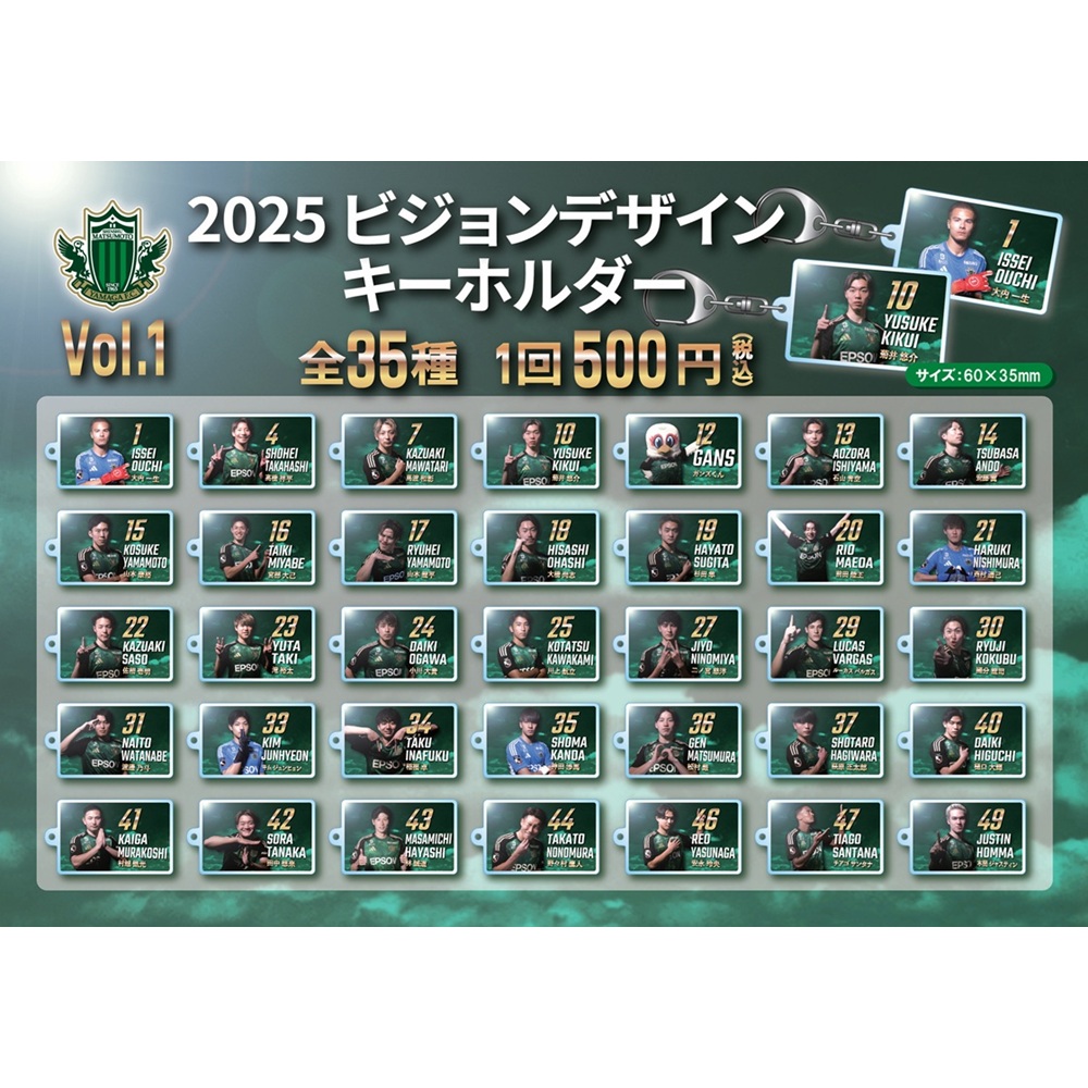 2025ビジョンデザインキーホルダーVol.1(山ガチャ)