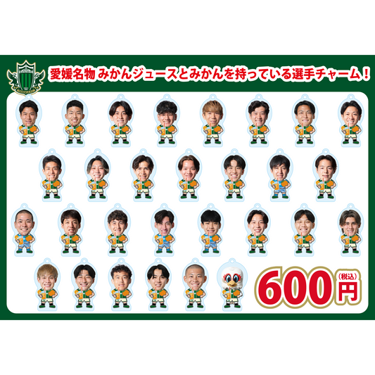 2627マッチデーボンフィン（HOME愛媛）