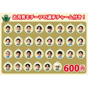 2627マッチデーボンフィン（AWAY栃木SC）