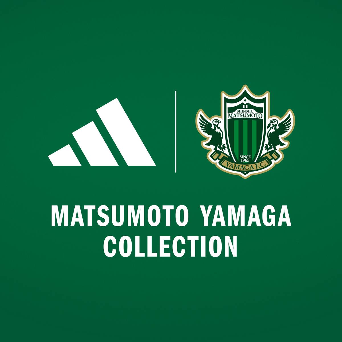 松本山雅 FC オンラインショップ 松本山雅 FC オンラインショップ