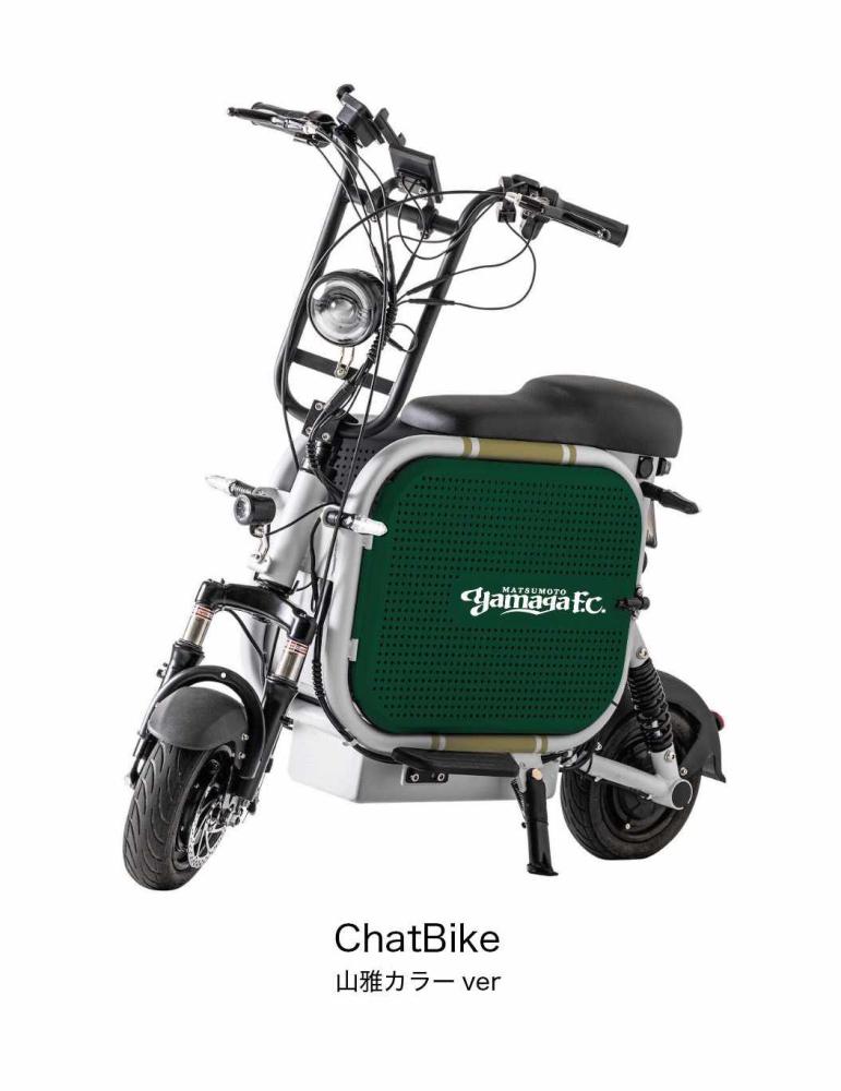 マイクロモビリティ(特定小型原動機付自転車)2輪 緑