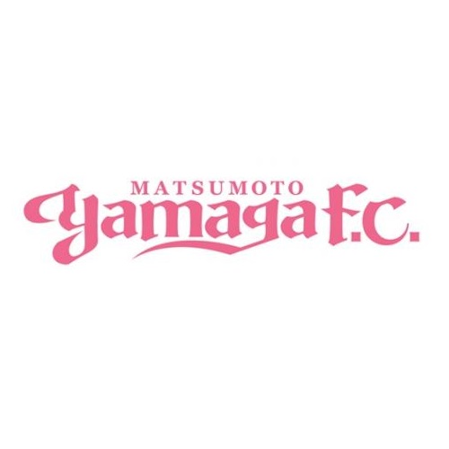 車用ステッカー(ロゴ)/ピンク